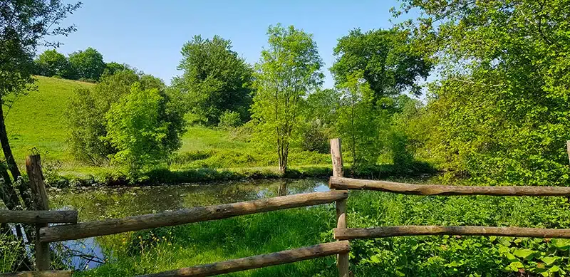 Le Logis de Concise – Gite Le Grand Logis à Les Herbiers : vue