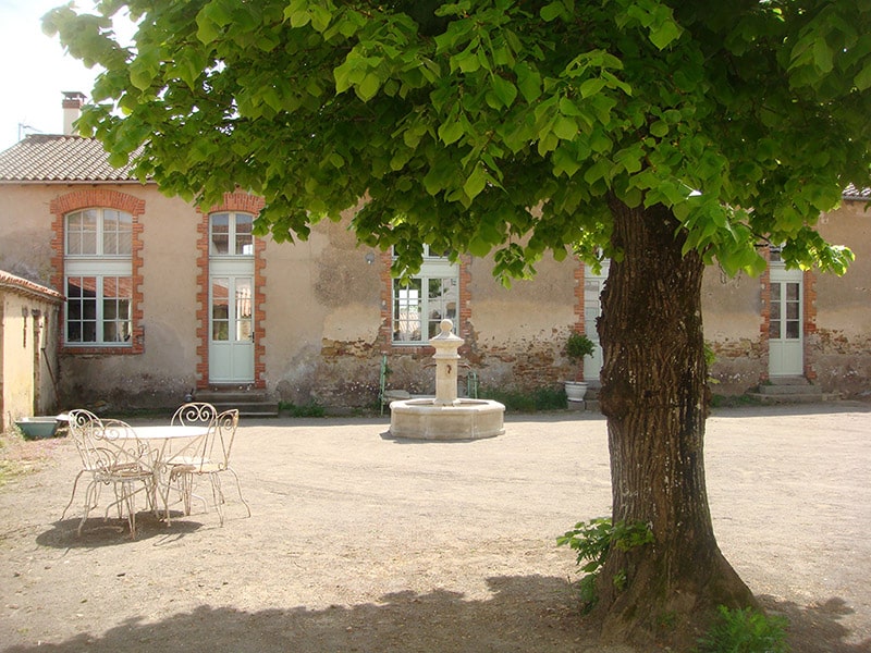Bleuet à Talmont-Saint-Hilaire : extérieur