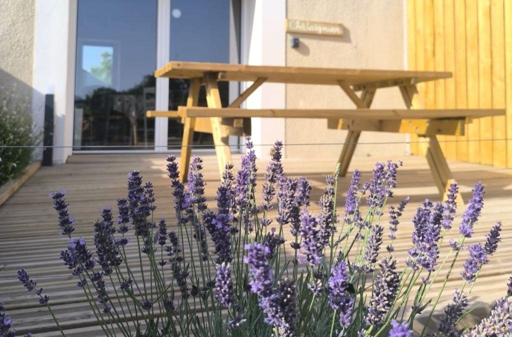 Le Châtaignier à Chanverrie : terrasse et jardin