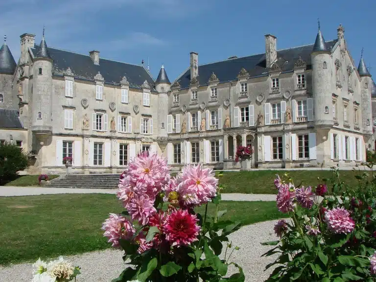 Château de Terre-Neuve, Fontenay-le-Comte