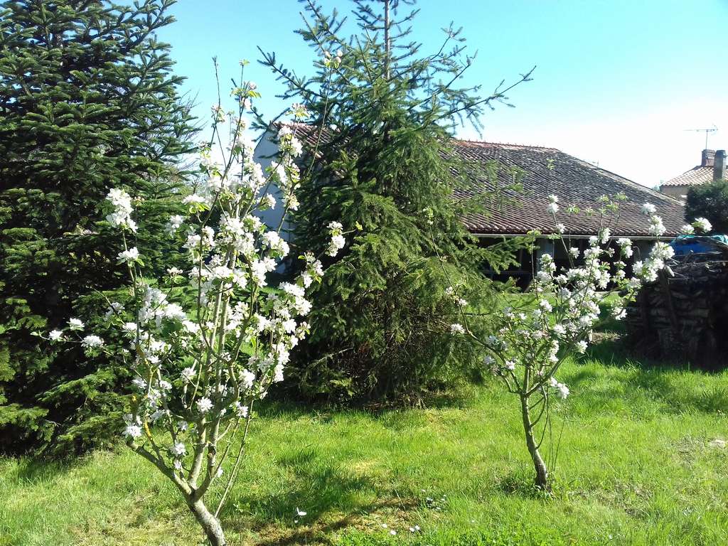 Gîte La Cibulle à Maillé : terrasse et jardin