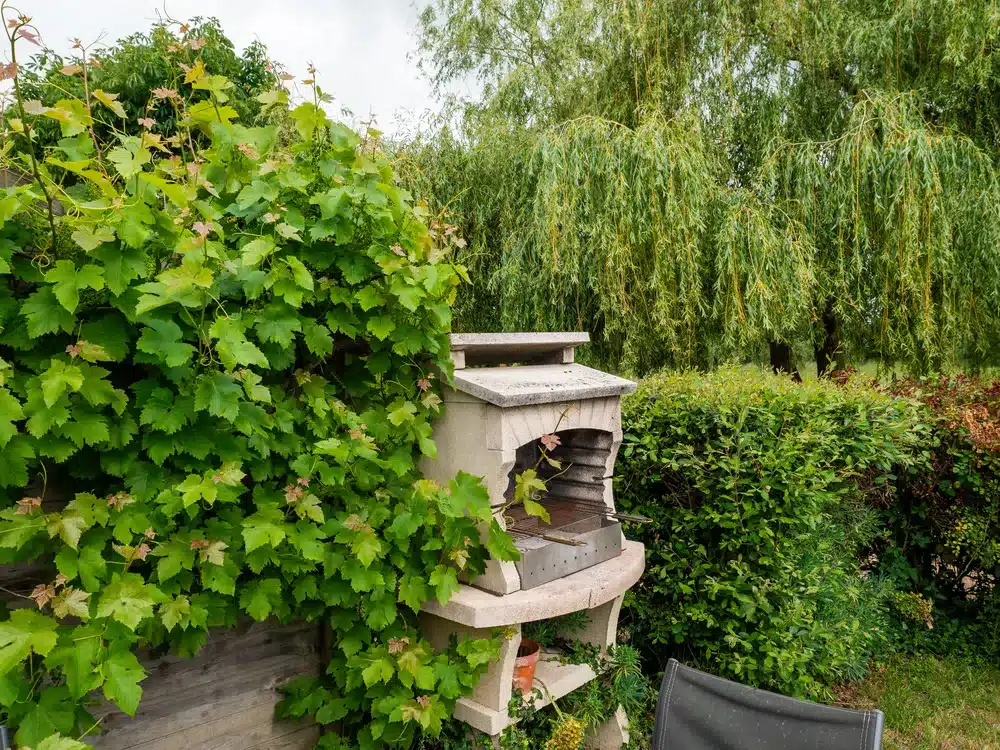 La Salicorne à Soullans : terrasse et jardin