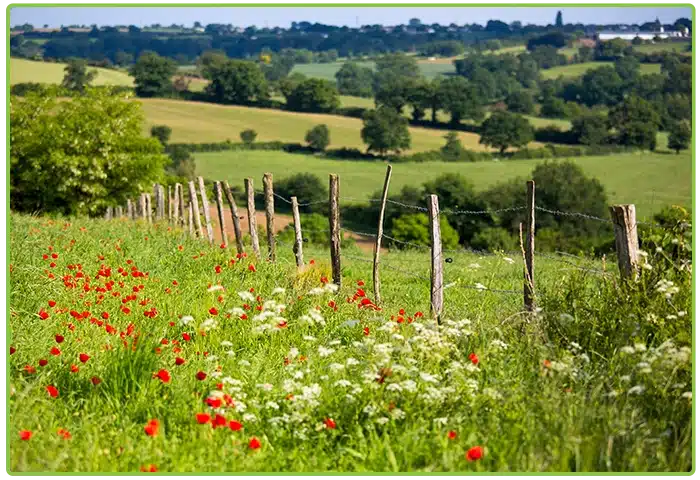 La Longère à Les Herbiers : vue