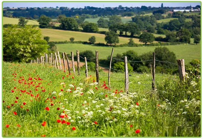 L’Étape d’Hôtes Foy à Les Herbiers : vue