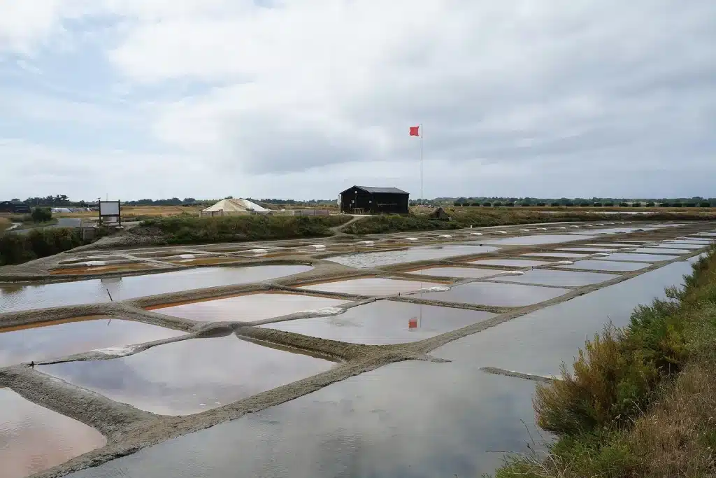 Vue de L'Île-d'Olonne