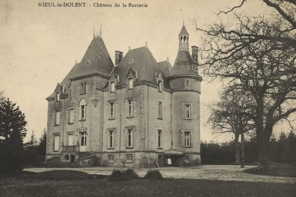 Vue de Nieul-le-Dolent