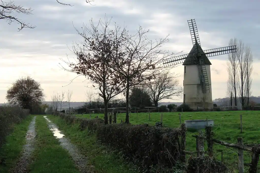 Vue de Saint-Cyr-des-Gâts