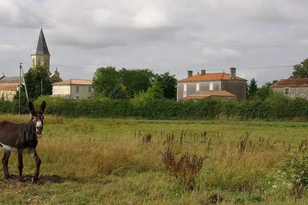 Vue de Saint-Pierre-le-Vieux
