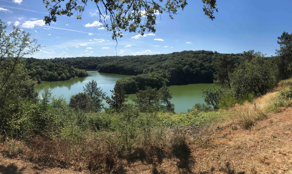 La Villa du Tan à Mervent : vue